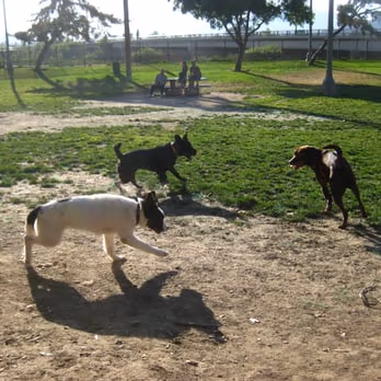 Carlson Bark Park photo 1